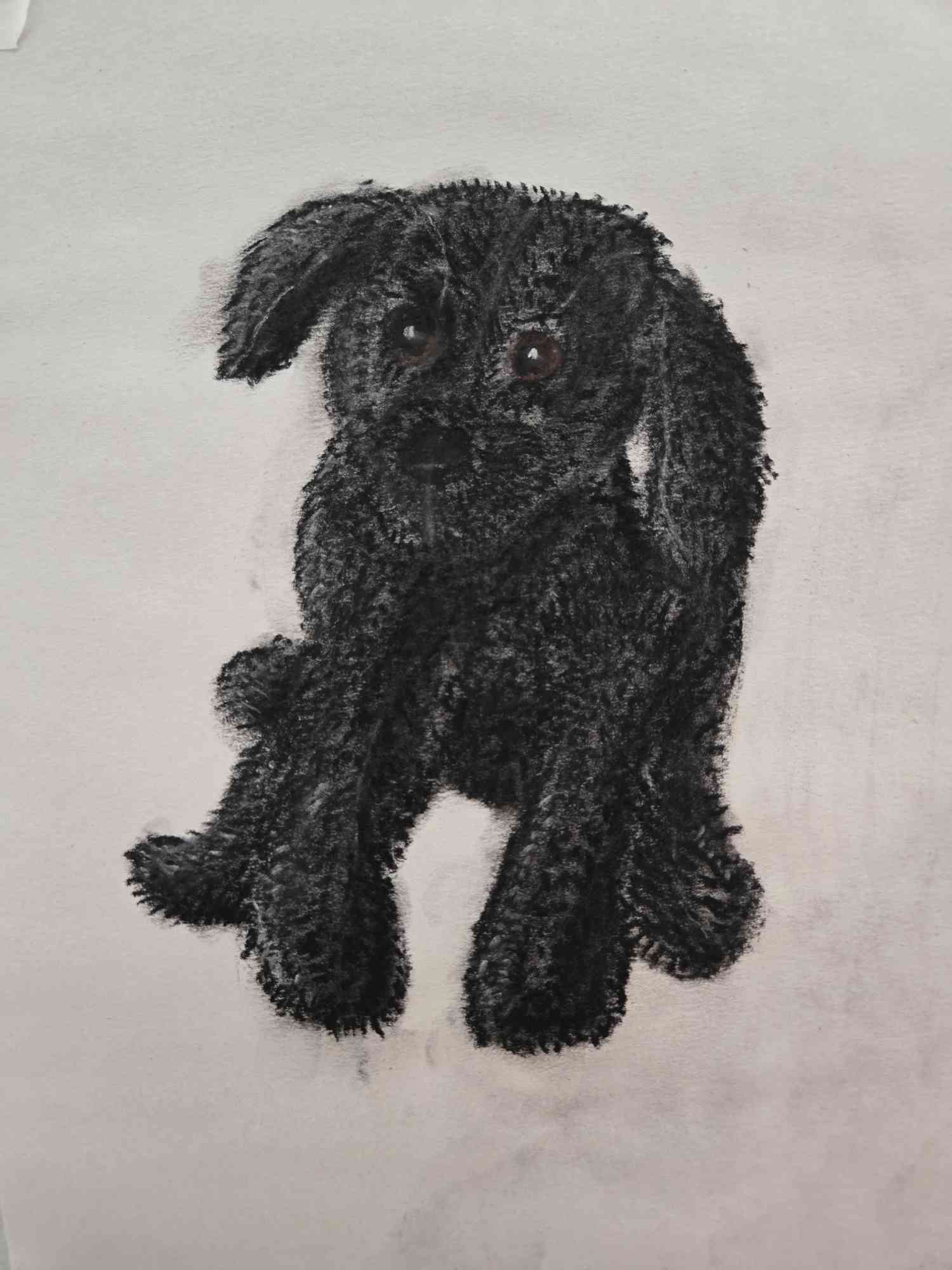 Emotional Support Plushie; Contestick on newsprint