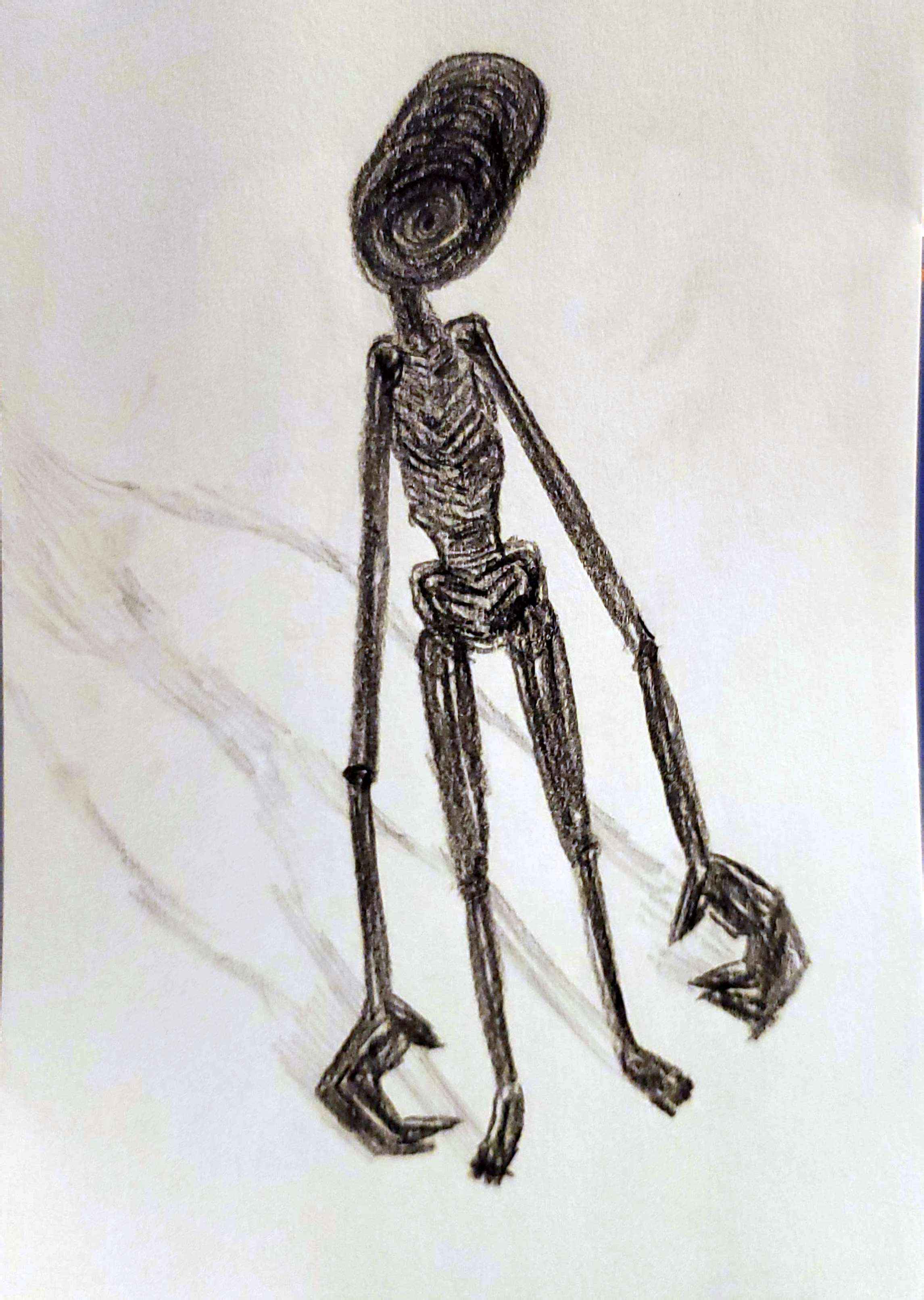 The Man With Long Arms And No Face